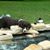 Cindy Seidel Hout's profile image