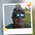 JoAnn Eriksson's profile image