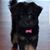 Chrystal Ford Martin's profile image