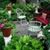 Tammy Gwaltney's profile image
