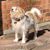 Beth Cook's profile image