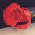 Brandy Rocha's profile image