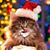 Kristin Lapointe's profile image