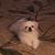 Larry Webb's profile image