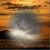 Norman Clark's profile image