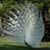 Mirna Valladares's profile image