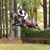 Beth Harrill's profile image