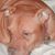 Pat Malone Huddleston's profile image