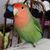 Terence Ho's profile image