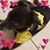 Vickilynn Hutchinson's profile image