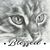 Shevawn Hillwig's profile image