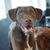 Linda Stoffel Fliss's profile image