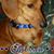 Virginia Curtis Collins's profile image