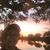 Laura Aldarondo's profile image