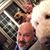 Tony Meagher's profile image