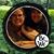 Megan Morris's profile image