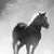 Ingrid Eckstrand's profile image