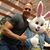 Tim Hutto's profile image