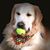 Cheryl Winslow Finan's profile image