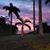 Lucia Baase's profile image