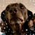 Tammy Hughes's profile image