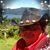 Lori Hoak's profile image