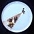 Brad Streetman's profile image