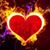 Amy Clemons Hutchison's profile image