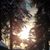 Kristen Teeter's profile image