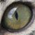 Nancy Sandquist Russell's profile image