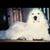 Marnee Vassallo's profile image