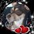 Norma Galvan's profile image