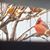 Jean DeVoll-Donaldson's profile image