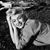 Brandie Woodard's profile image