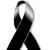 Eric Flores's profile image