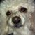 Arlene N Steve Smith's profile image