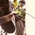 Chris Chancey's profile image