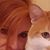 Essie Petrovich's profile image