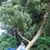 Nagaraj Rangan's profile image