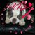 Sherry Summers Kirchner's profile image