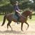 Julie Varley's profile image