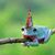 Nick Almond's profile image
