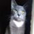 Diane Leon's profile image