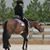 Dianne Rouse's profile image
