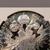 Hernan Benavides's profile image