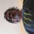 Michael Brite's profile image