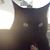 Haydee Paulson's profile image