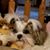 Laurie Kalland's profile image
