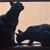 Linda Carroll's profile image