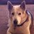 Jennifer Hoogendyk's profile image